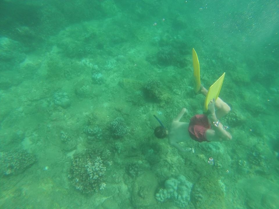 11742719_10153518784803708_6801342797338945680_n