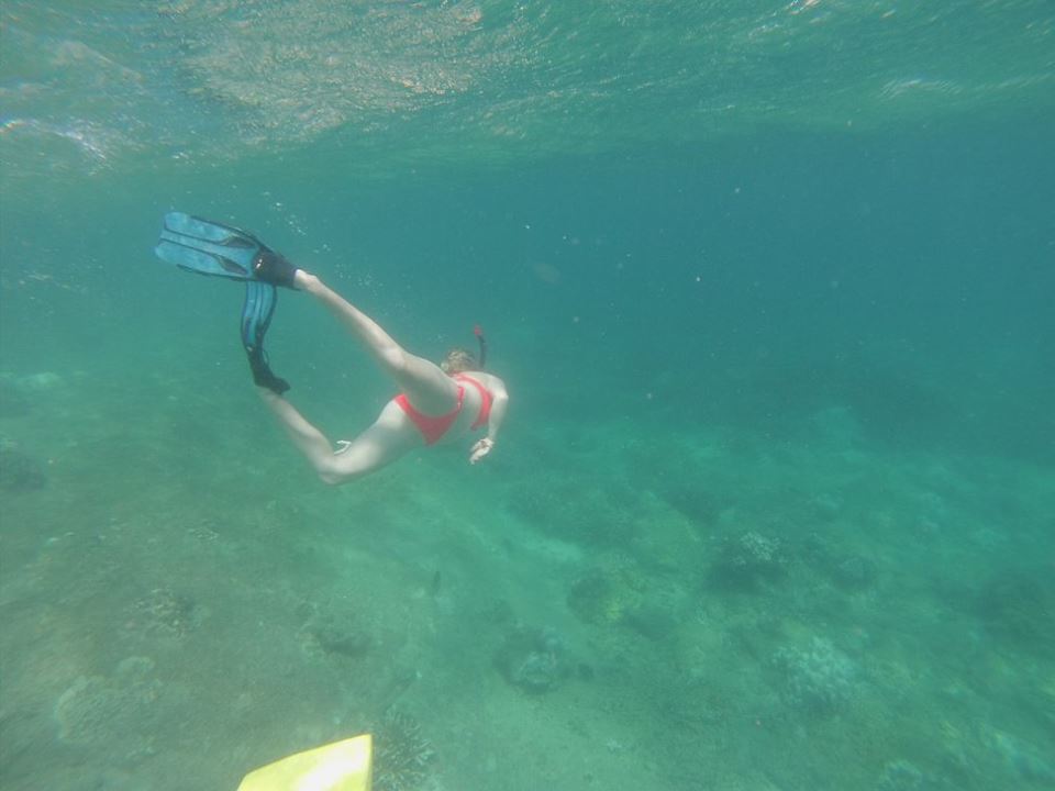 11760055_10153518784483708_460067467663817628_n