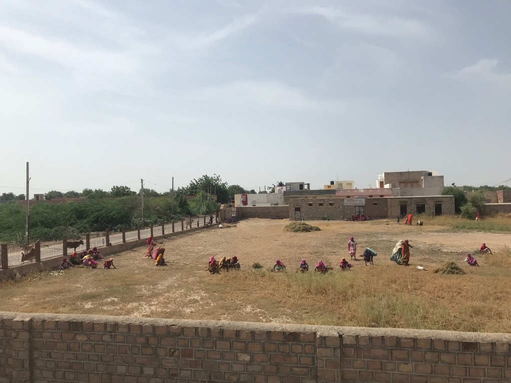 Qch8sSxfRS6T6bUS44aUBg